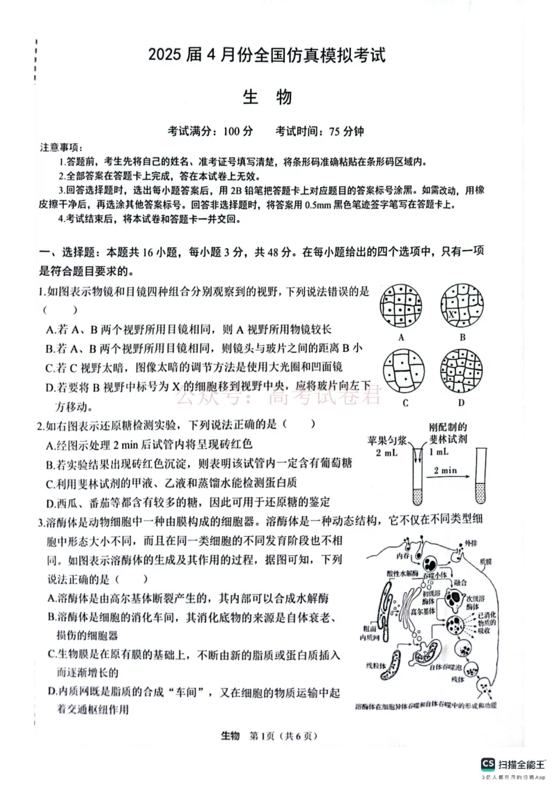 2025届4月份全国仿真模拟考试生物_2025届高三4月份全国仿真模拟考试全科_06生物_2025届高三4月份全国仿真模拟考试