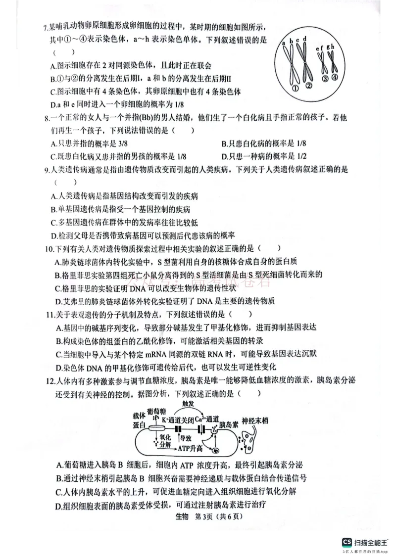 2025届4月份全国仿真模拟考试生物_2025届高三4月份全国仿真模拟考试全科_06生物_2025届高三4月份全国仿真模拟考试