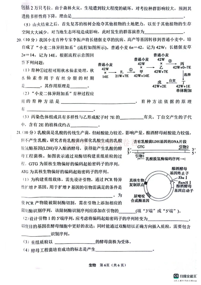 2025届4月份全国仿真模拟考试生物_2025届高三4月份全国仿真模拟考试全科_06生物_2025届高三4月份全国仿真模拟考试