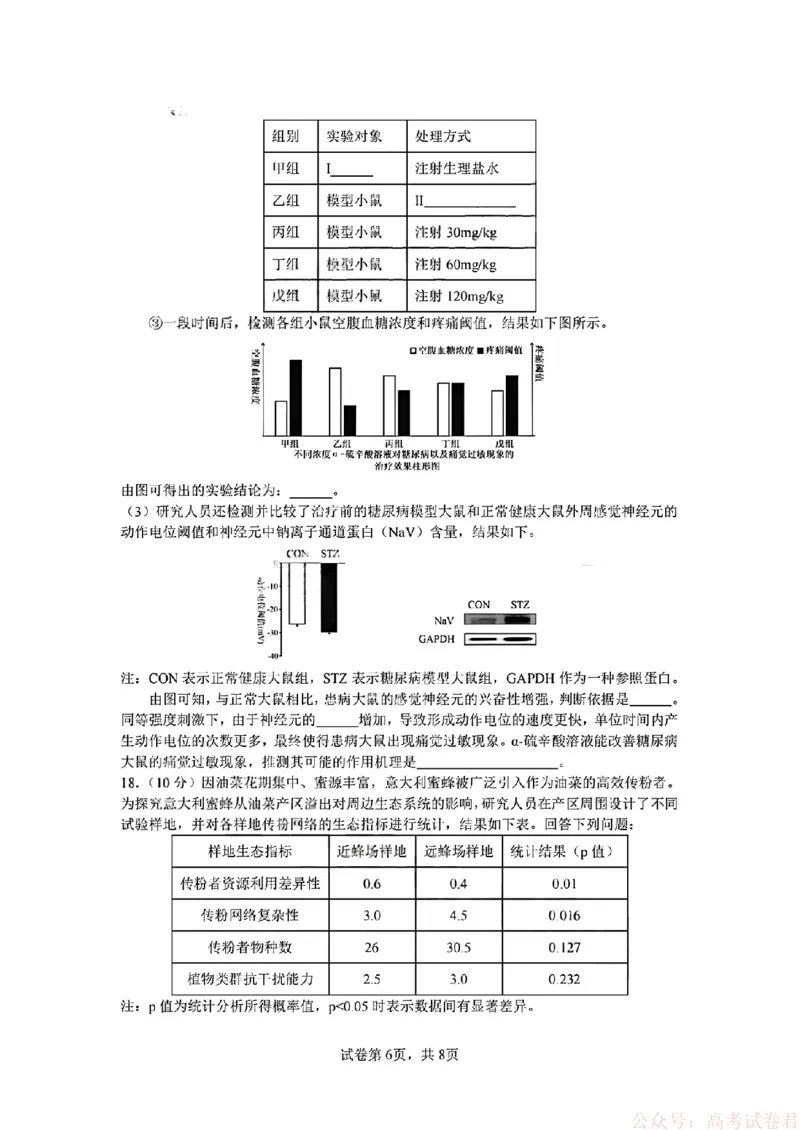 2026届四川省成都七中高三二诊模拟考试生物（含答案）_2026届四川省成都七中高三二诊模拟考试