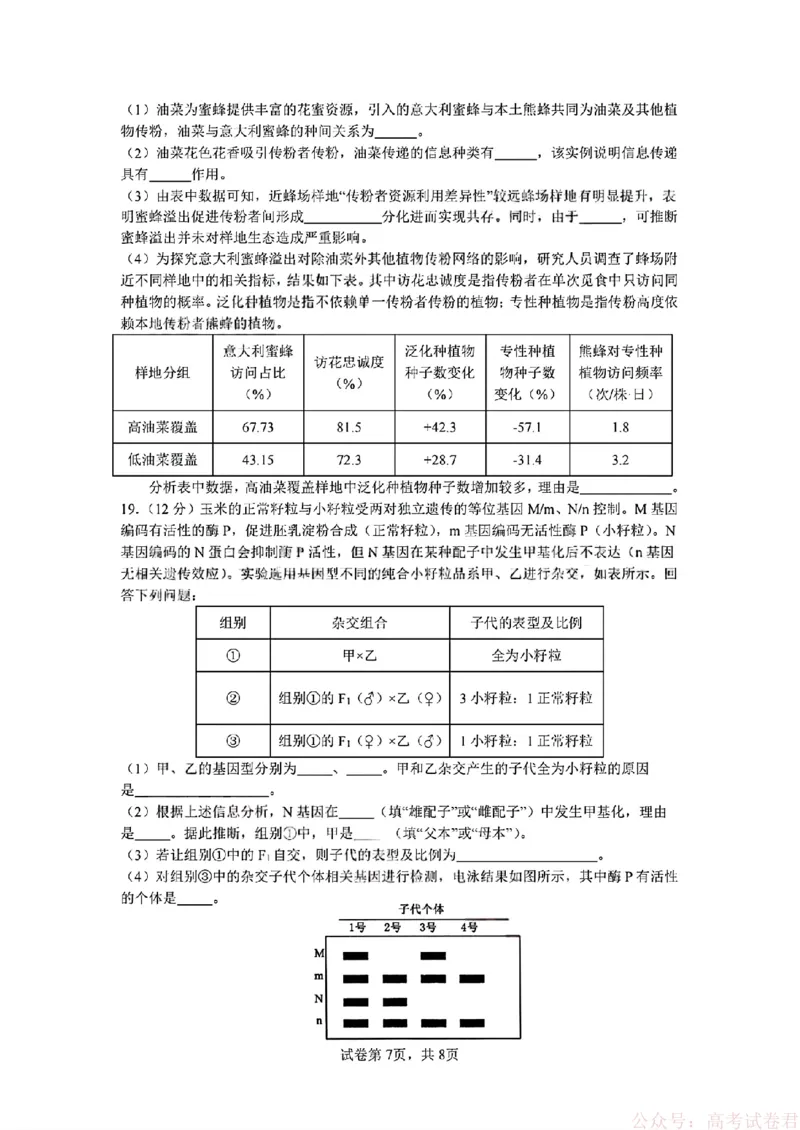 2026届四川省成都七中高三二诊模拟考试生物（含答案）_2026届四川省成都七中高三二诊模拟考试