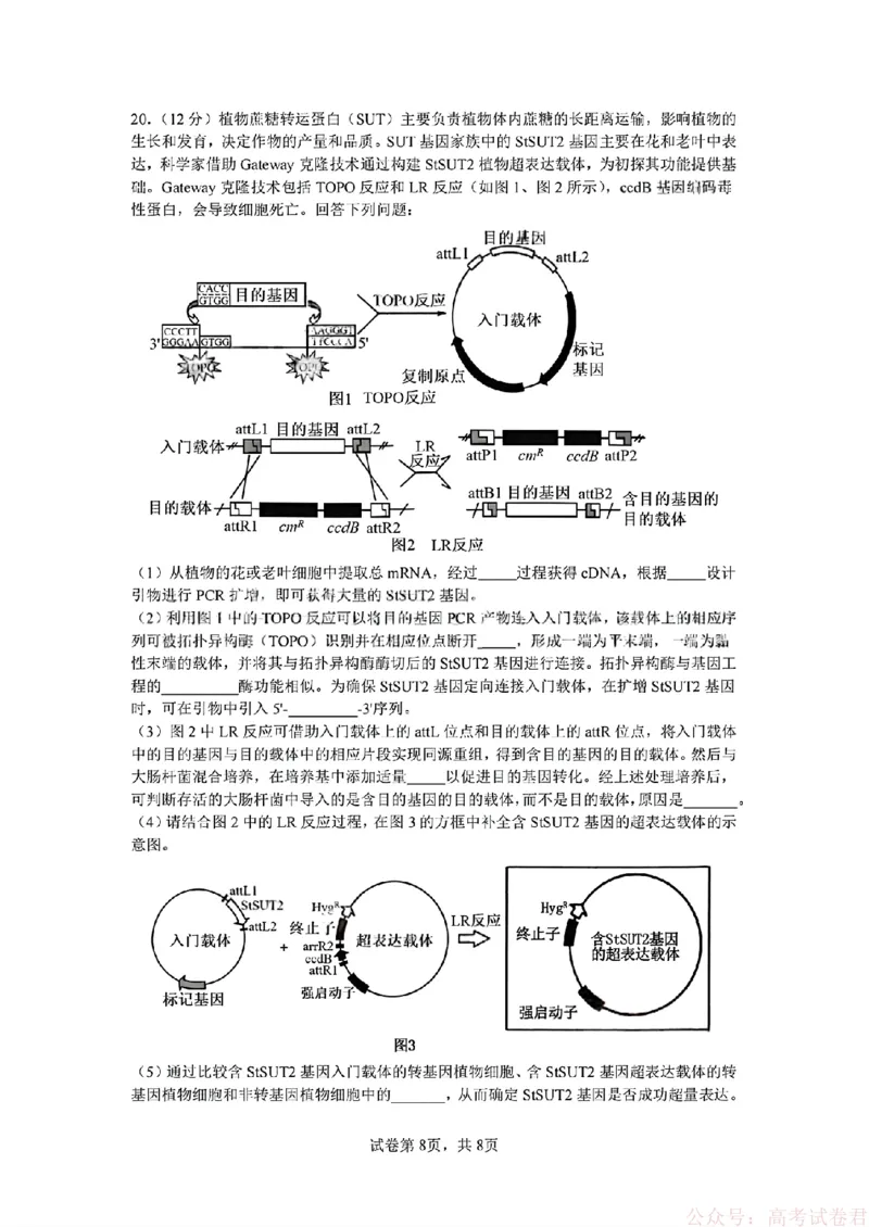 2026届四川省成都七中高三二诊模拟考试生物（含答案）_2026届四川省成都七中高三二诊模拟考试