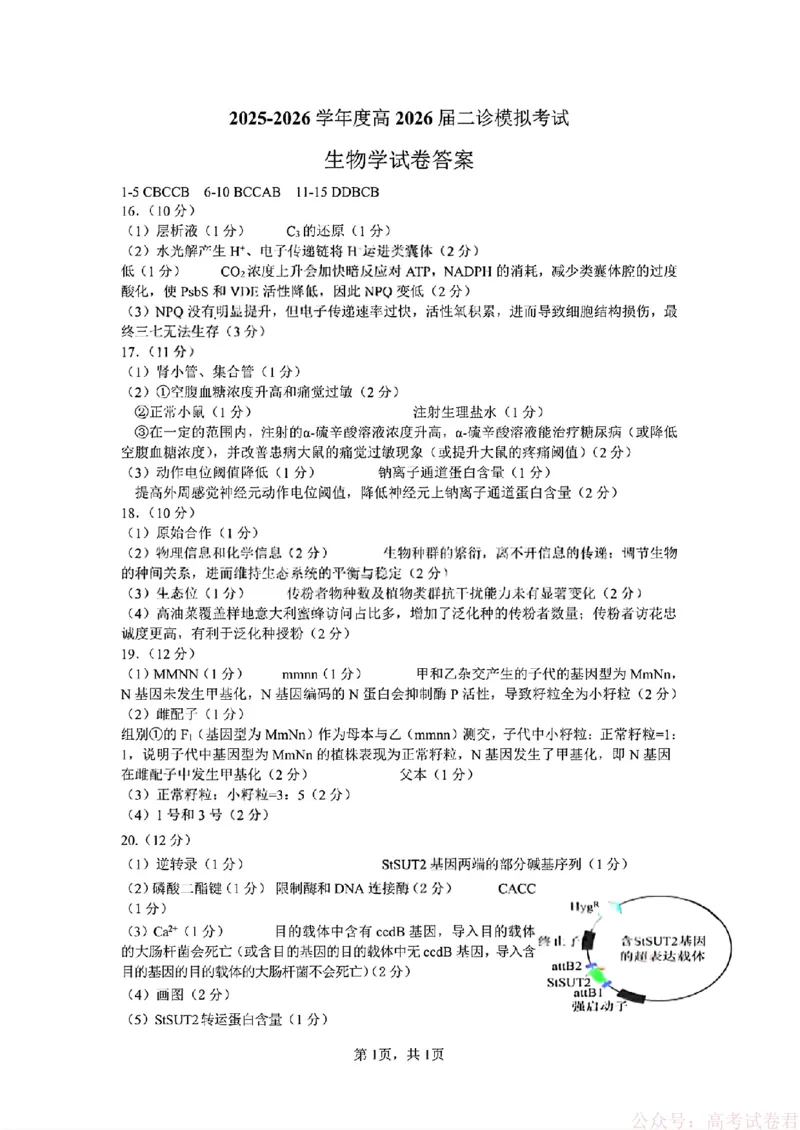2026届四川省成都七中高三二诊模拟考试生物（含答案）_2026届四川省成都七中高三二诊模拟考试