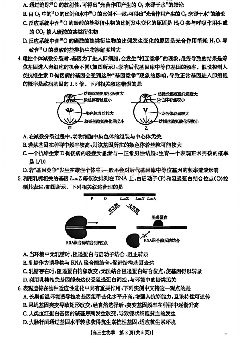 2026届安徽省示范高中皖北协作区高三下学期第28届联考(一模)生物试题卷_2026年安徽省示范高中皖北协作区第28届联考全科_06生物_安徽省示范高中皖北协作区第28届联考