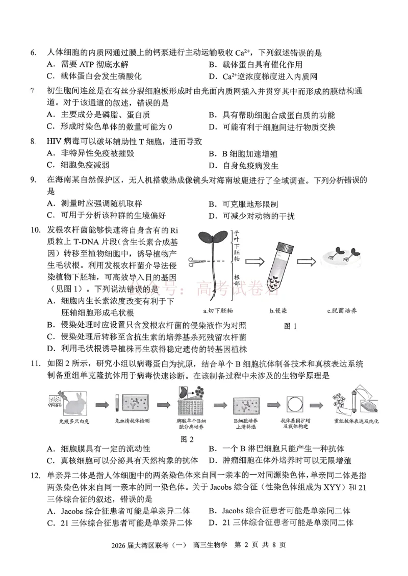2026届大湾区普通高中毕业年级联合模拟考试（一）生物_2026届广东大湾区普通高中毕业年级联合模拟考试（一）（大湾区一模）
