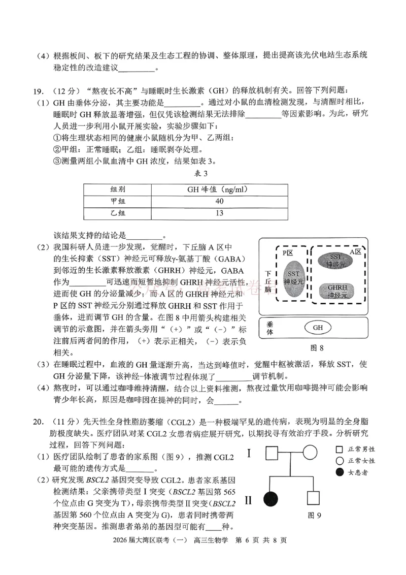 2026届大湾区普通高中毕业年级联合模拟考试（一）生物_2026届广东大湾区普通高中毕业年级联合模拟考试（一）（大湾区一模）
