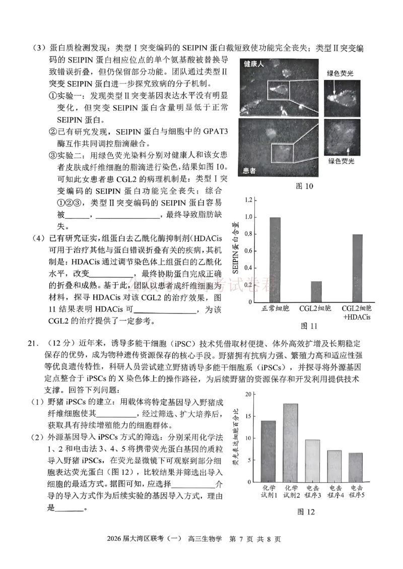 2026届大湾区普通高中毕业年级联合模拟考试（一）生物_2026届广东大湾区普通高中毕业年级联合模拟考试（一）（大湾区一模）