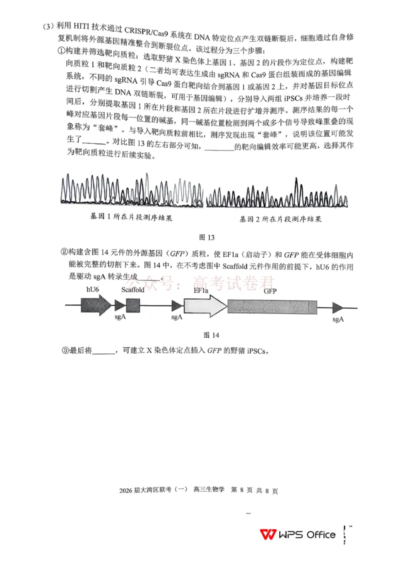 2026届大湾区普通高中毕业年级联合模拟考试（一）生物_2026届广东大湾区普通高中毕业年级联合模拟考试（一）（大湾区一模）