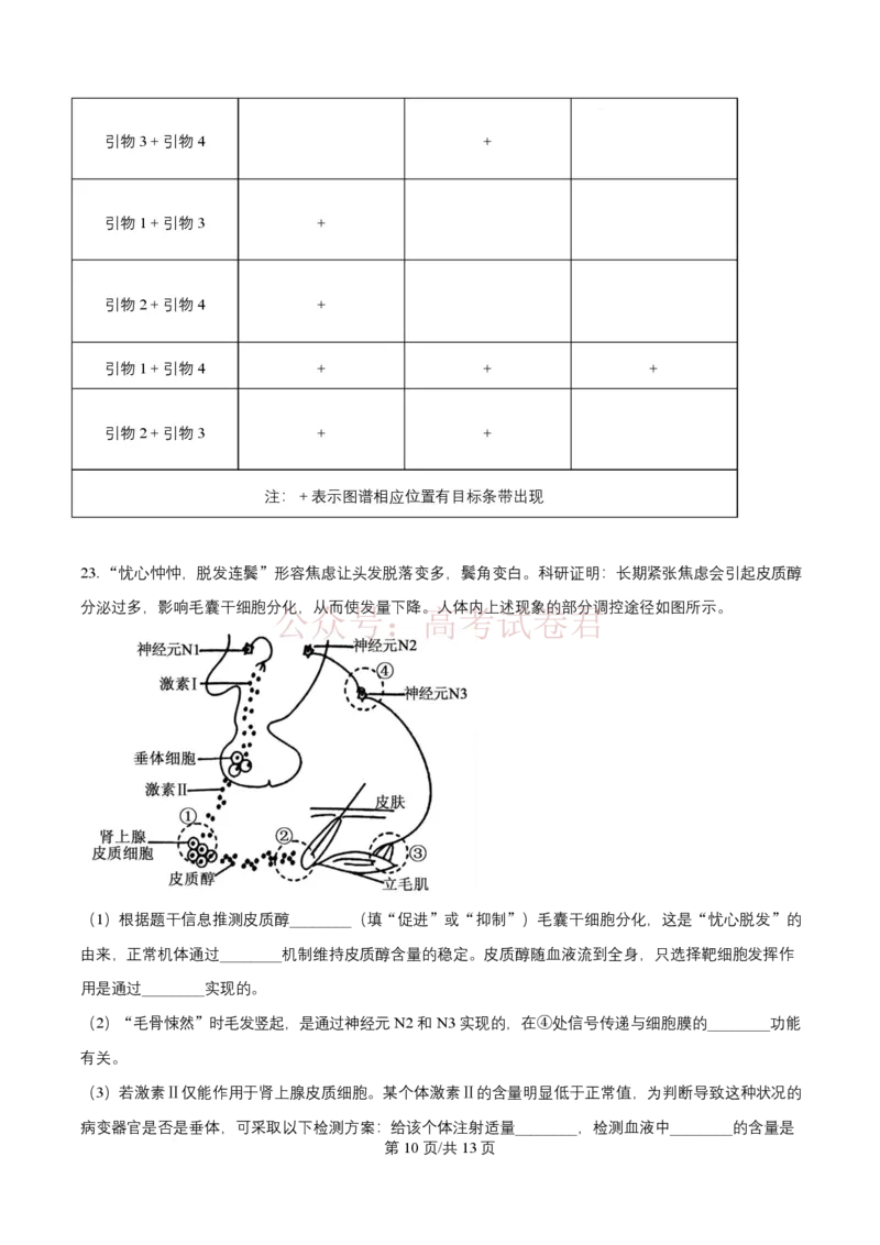 2026届山东九五协作体高三下学期3月学习质量评估（一模）生物_2026届山东省九五协作体高三3月学习质量评估_06生物_山东省九五协作体高三3月学习质量评估