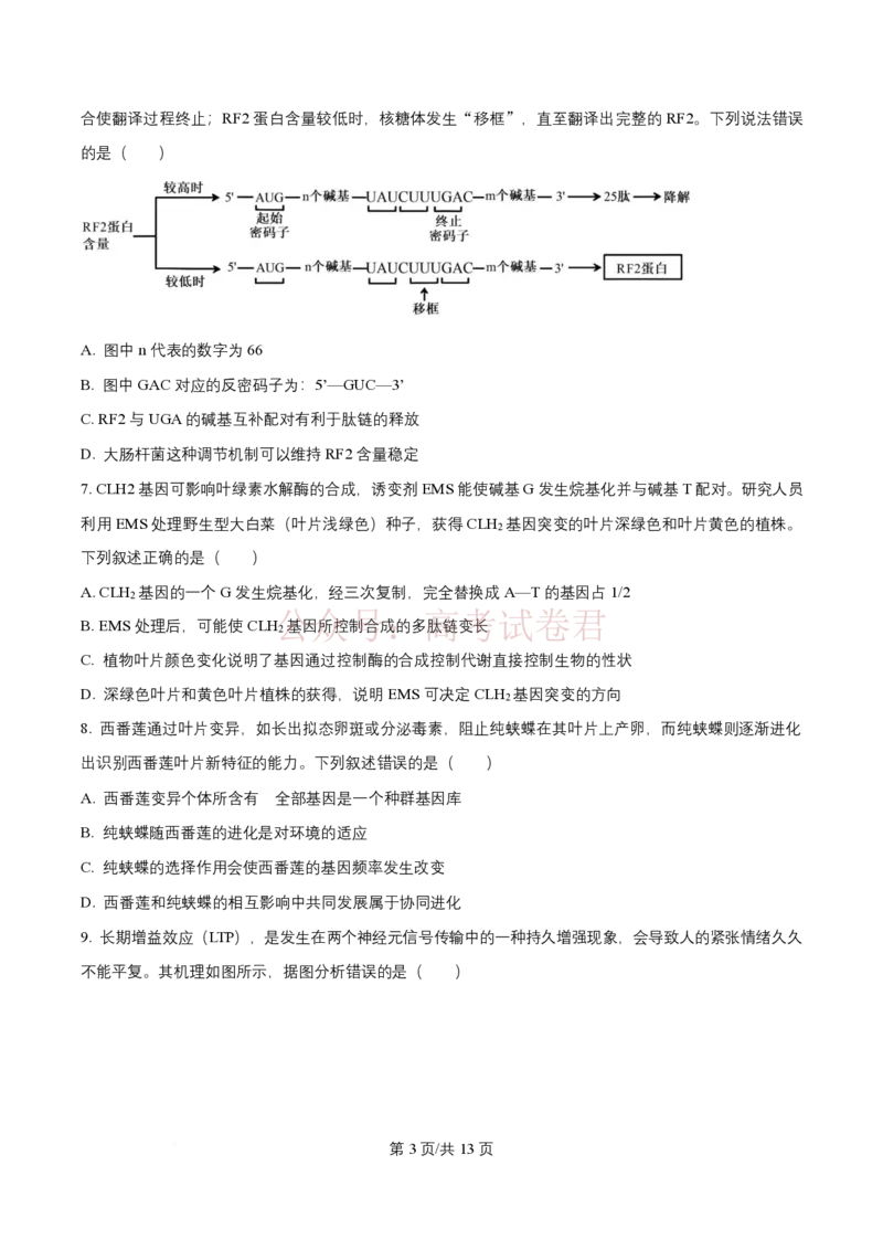 2026届山东九五协作体高三下学期3月学习质量评估（一模）生物_2026届山东省九五协作体高三3月学习质量评估_06生物_山东省九五协作体高三3月学习质量评估