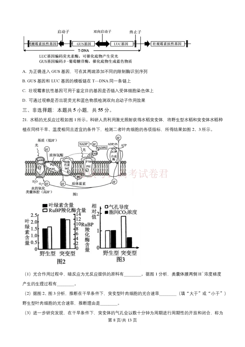 2026届山东九五协作体高三下学期3月学习质量评估（一模）生物_2026届山东省九五协作体高三3月学习质量评估_06生物_山东省九五协作体高三3月学习质量评估