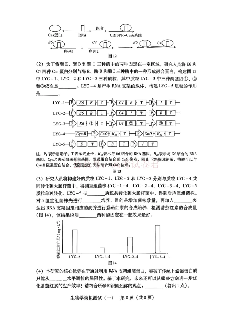 2026届广东省高三一模普通高中学业水平选择考模拟测试（一）生物_2026届广东省高三模拟测试（一）全科_06生物_广东省高三模拟测试（一）