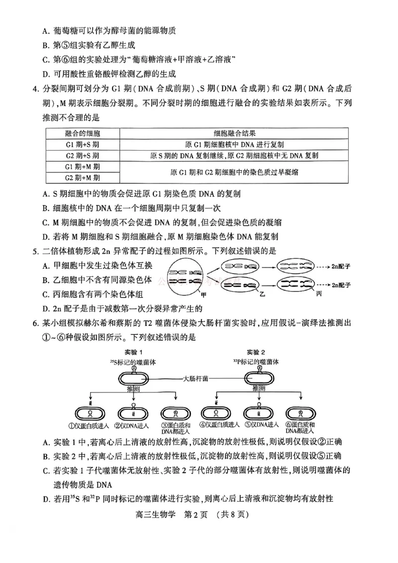 2026届河南省许平洛济高三第三次质量检测生物_2026届河南省许平洛济高三第三次质量检测_06生物2026届河南省许平洛济高三第三次质量检测