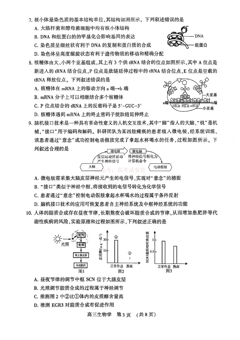 2026届河南省许平洛济高三第三次质量检测生物_2026届河南省许平洛济高三第三次质量检测_06生物2026届河南省许平洛济高三第三次质量检测