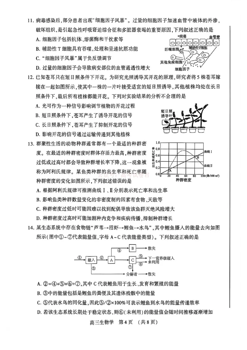 2026届河南省许平洛济高三第三次质量检测生物_2026届河南省许平洛济高三第三次质量检测_06生物2026届河南省许平洛济高三第三次质量检测