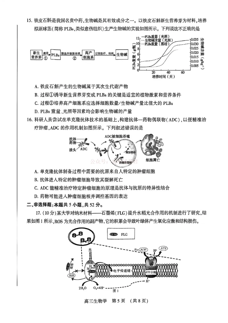2026届河南省许平洛济高三第三次质量检测生物_2026届河南省许平洛济高三第三次质量检测_06生物2026届河南省许平洛济高三第三次质量检测