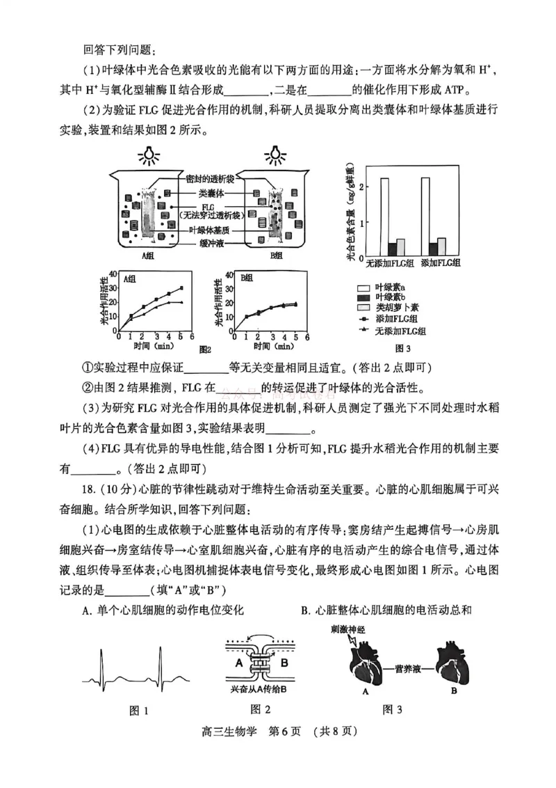 2026届河南省许平洛济高三第三次质量检测生物_2026届河南省许平洛济高三第三次质量检测_06生物2026届河南省许平洛济高三第三次质量检测