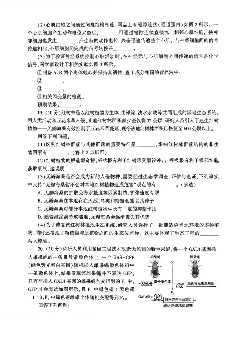 2026届河南省许平洛济高三第三次质量检测生物_2026届河南省许平洛济高三第三次质量检测_06生物2026届河南省许平洛济高三第三次质量检测