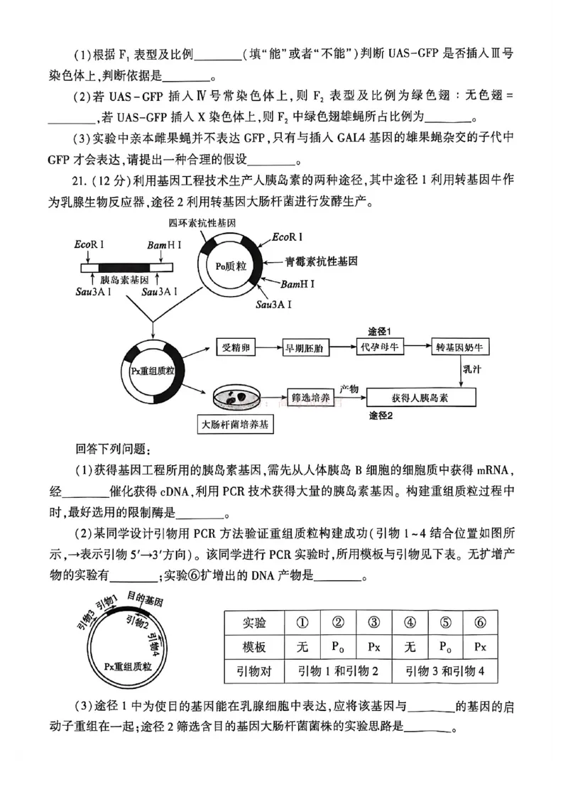 2026届河南省许平洛济高三第三次质量检测生物_2026届河南省许平洛济高三第三次质量检测_06生物2026届河南省许平洛济高三第三次质量检测