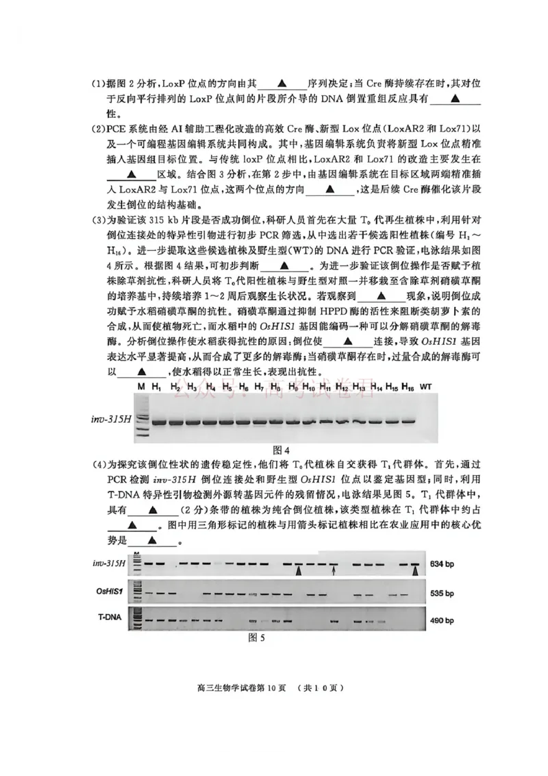 2026届江苏省南京市、盐城市高三一模生物卷（含答案）_副本_2026届江苏省南京盐城高三第一次模拟考试全科_06生物_江苏省南京盐城高三第一次模拟考试