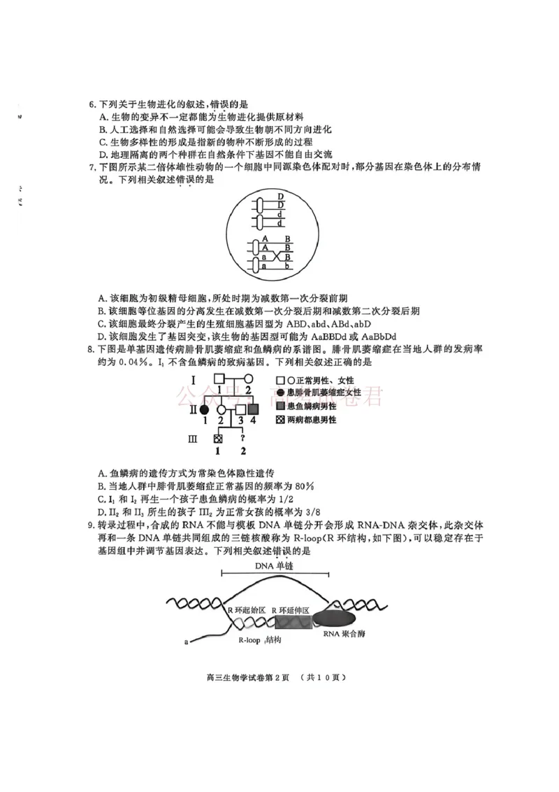 2026届江苏省南京市、盐城市高三一模生物卷（含答案）_副本_2026届江苏省南京盐城高三第一次模拟考试全科_06生物_江苏省南京盐城高三第一次模拟考试