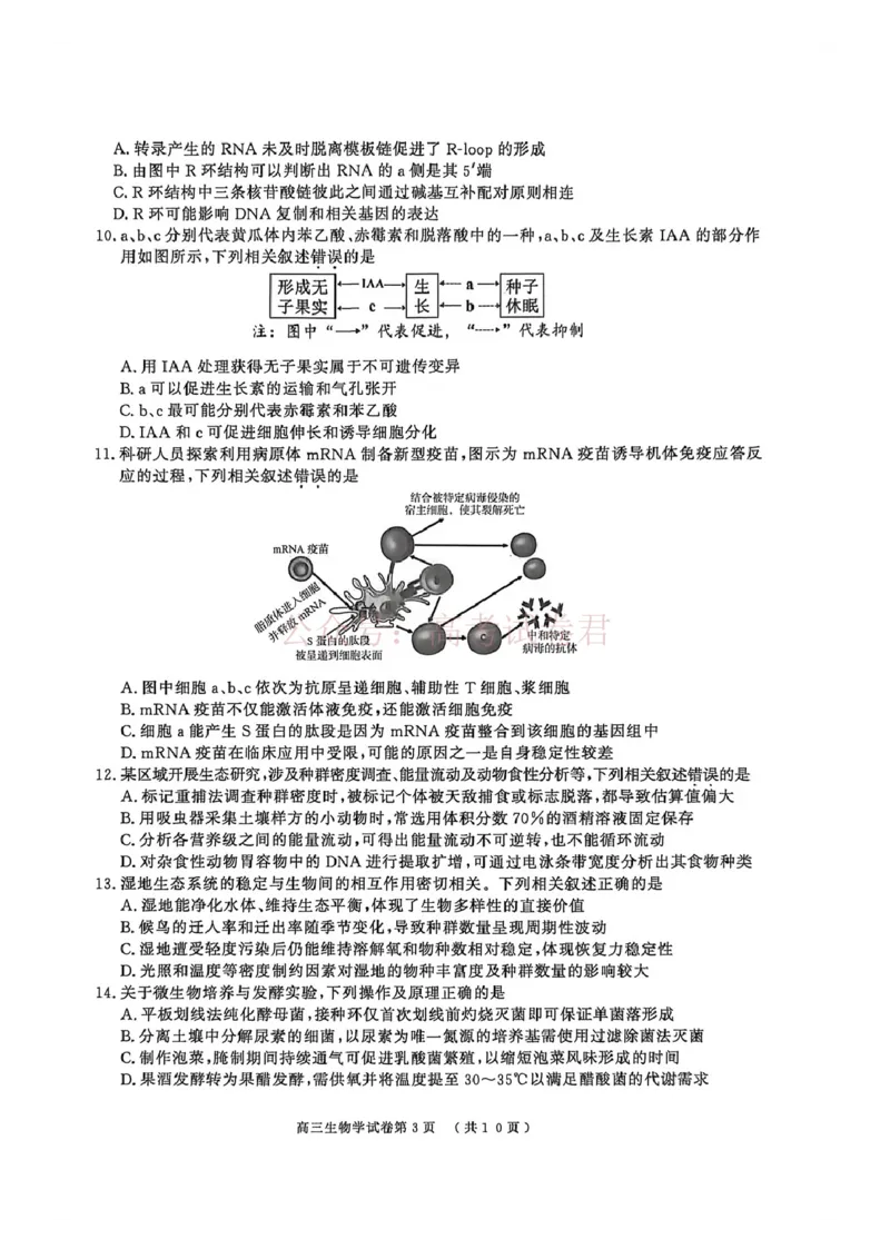 2026届江苏省南京市、盐城市高三一模生物卷（含答案）_副本_2026届江苏省南京盐城高三第一次模拟考试全科_06生物_江苏省南京盐城高三第一次模拟考试