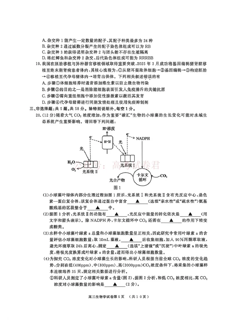 2026届江苏省南京市、盐城市高三一模生物卷（含答案）_副本_2026届江苏省南京盐城高三第一次模拟考试全科_06生物_江苏省南京盐城高三第一次模拟考试