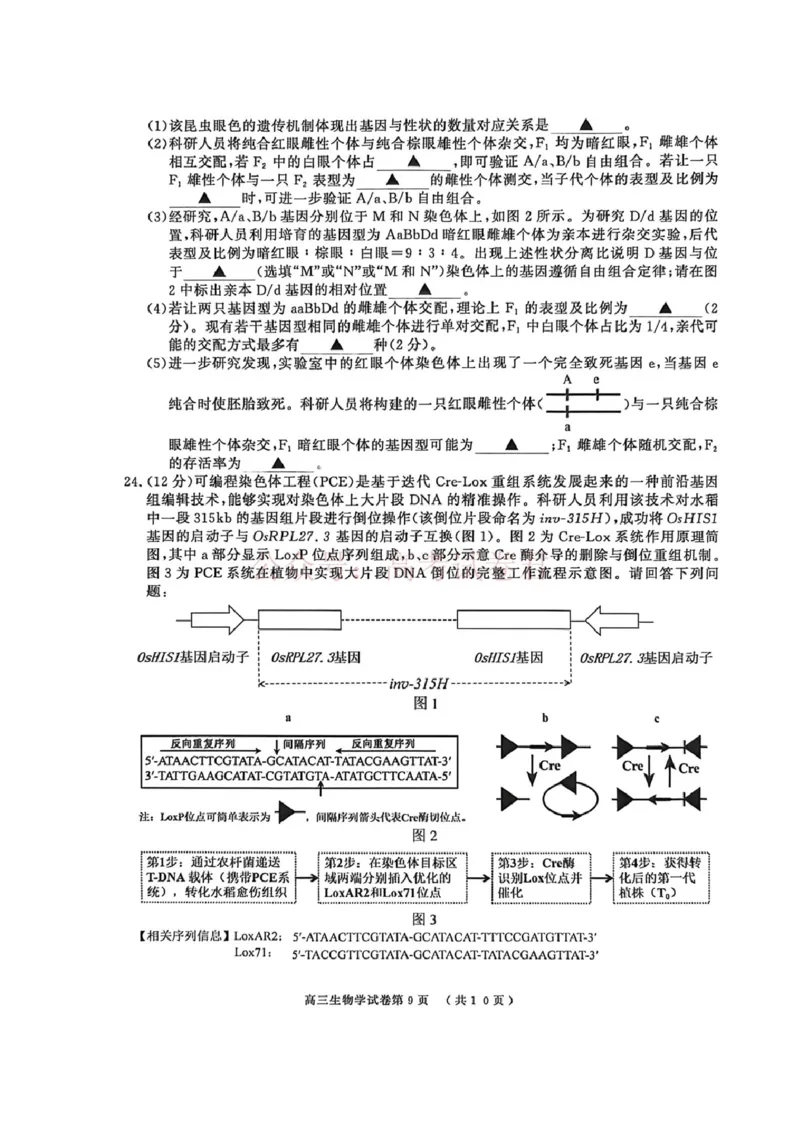 2026届江苏省南京市、盐城市高三一模生物卷（含答案）_副本_2026届江苏省南京盐城高三第一次模拟考试全科_06生物_江苏省南京盐城高三第一次模拟考试