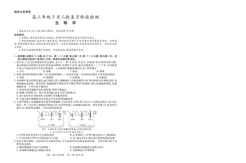 26届3月广东高三&middot;生物学3.18_2026届广东江西稳派上进高三3月二轮复习阶段检测全科_06生物_广东江西稳派上进高三3月二轮复习阶段检测