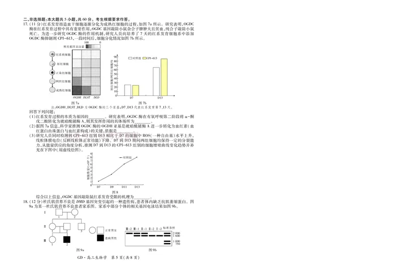 26届3月广东高三&middot;生物学3.18_2026届广东江西稳派上进高三3月二轮复习阶段检测全科_06生物_广东江西稳派上进高三3月二轮复习阶段检测