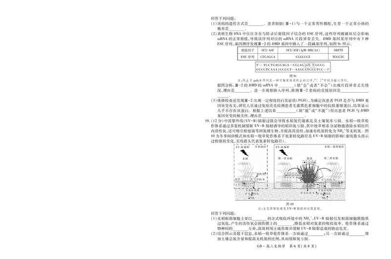 26届3月广东高三&middot;生物学3.18_2026届广东江西稳派上进高三3月二轮复习阶段检测全科_06生物_广东江西稳派上进高三3月二轮复习阶段检测