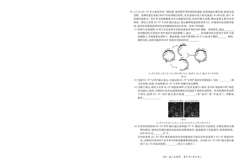 26届3月广东高三&middot;生物学3.18_2026届广东江西稳派上进高三3月二轮复习阶段检测全科_06生物_广东江西稳派上进高三3月二轮复习阶段检测