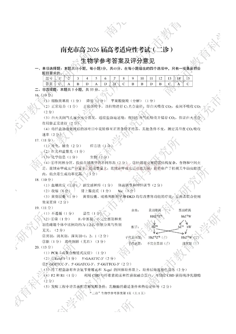 2026年四川省南充市高考适应性考试（二诊）生物答案_副本_2026年四川省南充市高考适应性考试（二诊）全科_06生物_四川省南充市高考适应性考试（二诊）