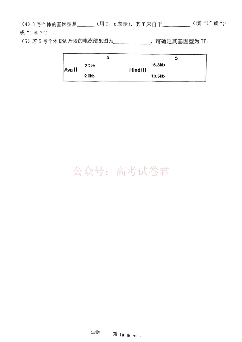 2026年天津市十二区重点学校高三下学期毕业联考（一）生物_副本_2026届天津市十二区重点学校高三下学期毕业联考（一）全科