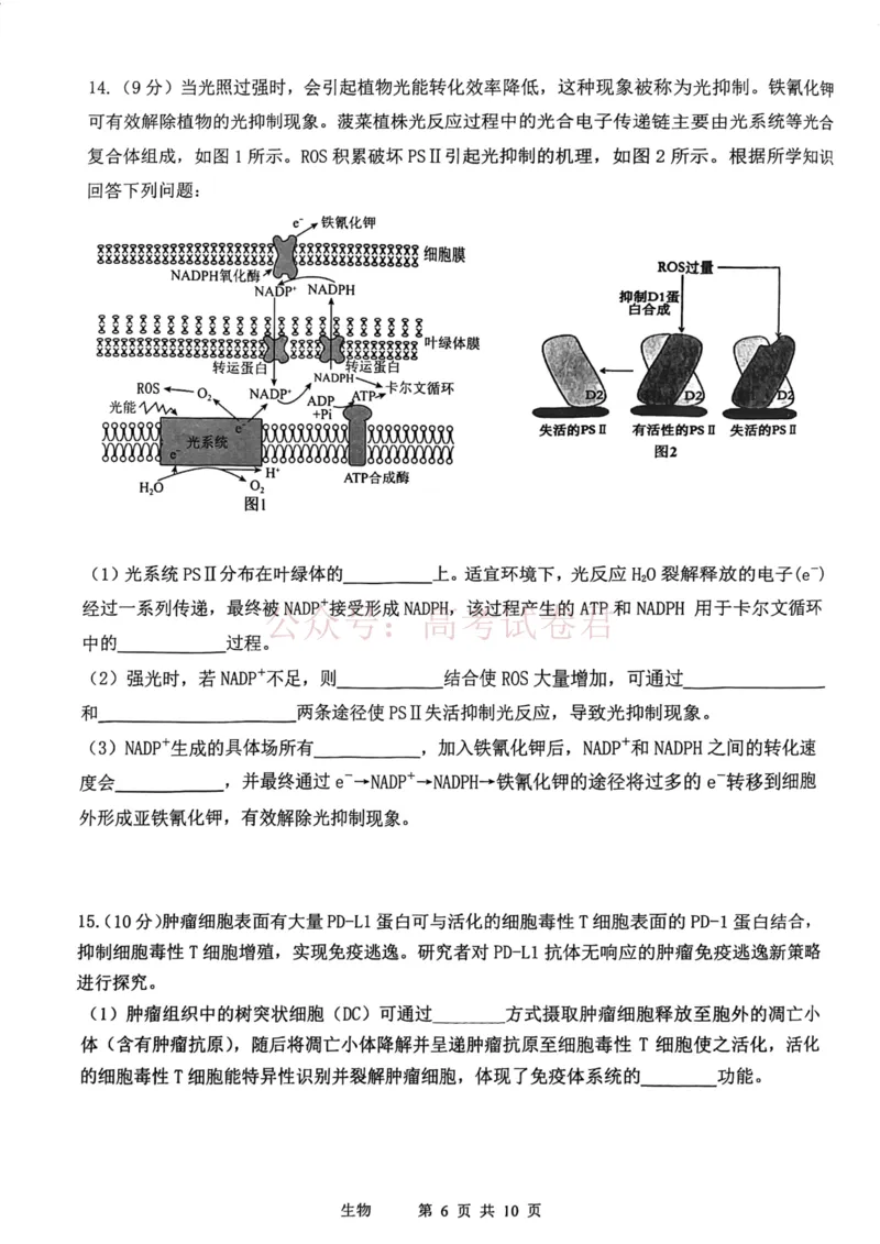 2026年天津市十二区重点学校高三下学期毕业联考（一）生物_副本_2026届天津市十二区重点学校高三下学期毕业联考（一）全科
