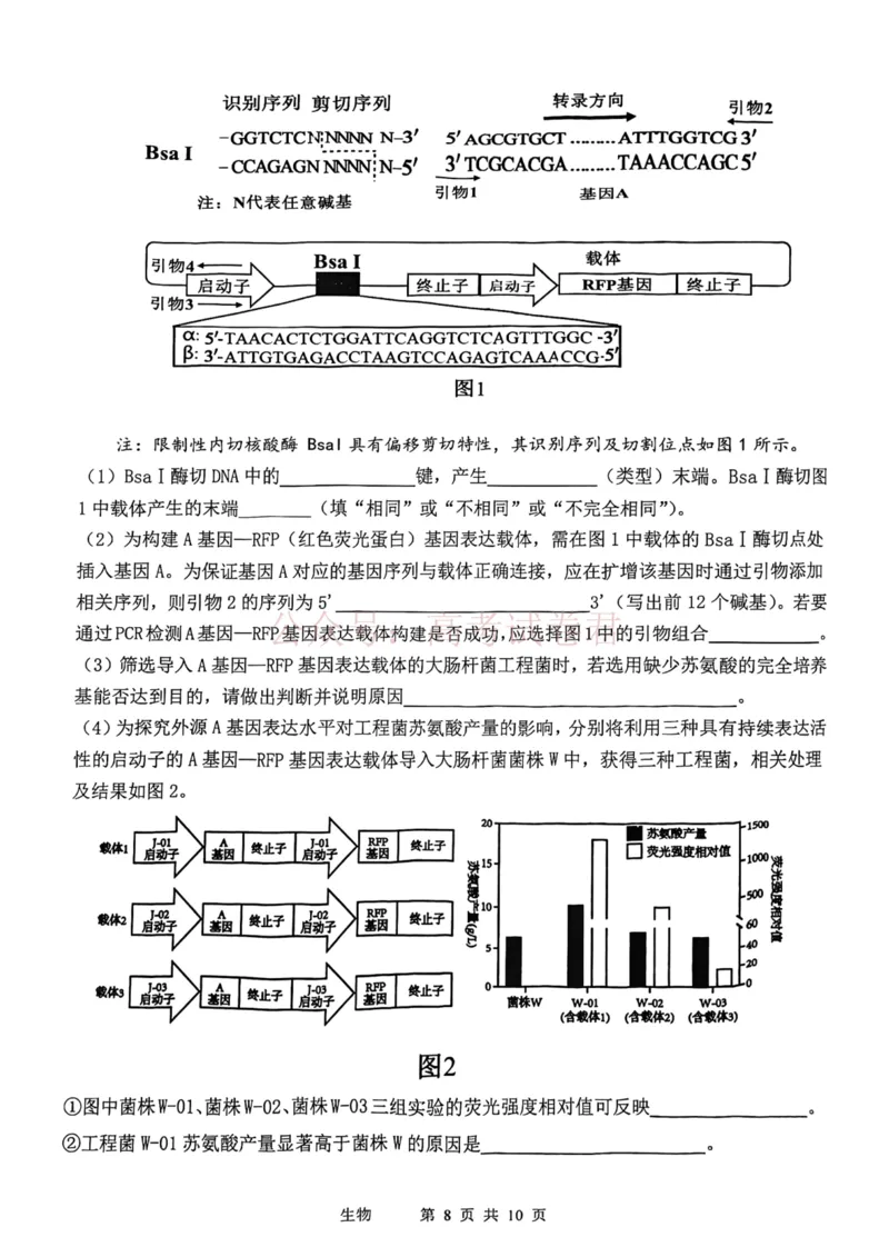 2026年天津市十二区重点学校高三下学期毕业联考（一）生物_副本_2026届天津市十二区重点学校高三下学期毕业联考（一）全科
