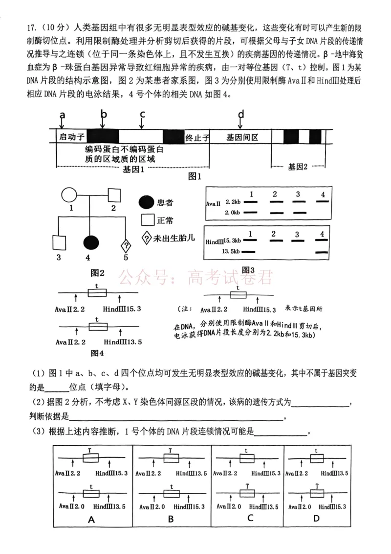 2026年天津市十二区重点学校高三下学期毕业联考（一）生物_副本_2026届天津市十二区重点学校高三下学期毕业联考（一）全科