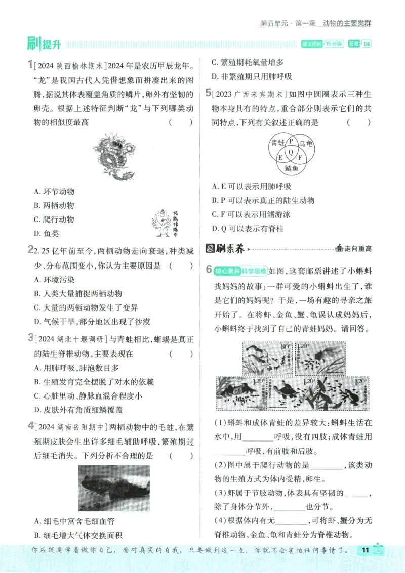 初中必刷题-8上-生物人教版_2、2025初中必刷题合集_初中必刷题23+24+25上册_2025版（全科上册）_2025版（全科上册）_初中必刷题生物