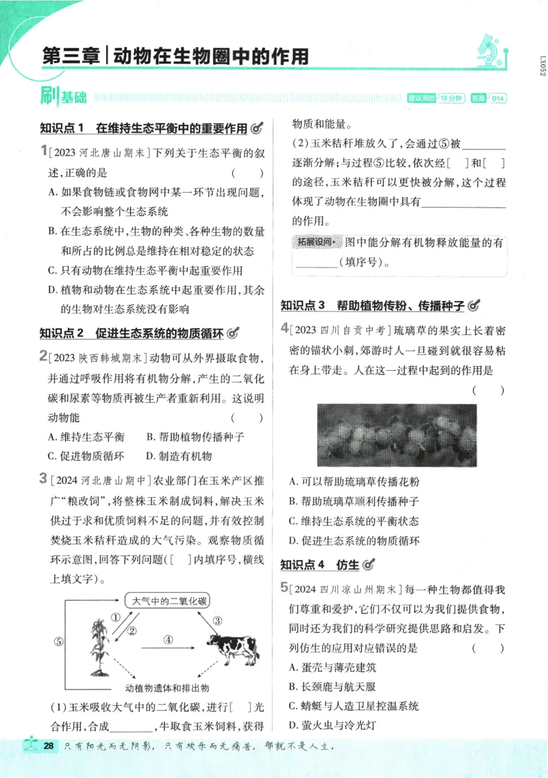 初中必刷题-8上-生物人教版_2、2025初中必刷题合集_初中必刷题23+24+25上册_2025版（全科上册）_2025版（全科上册）_初中必刷题生物