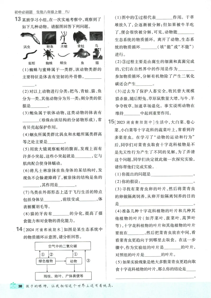 初中必刷题-8上-生物人教版_2、2025初中必刷题合集_初中必刷题23+24+25上册_2025版（全科上册）_2025版（全科上册）_初中必刷题生物