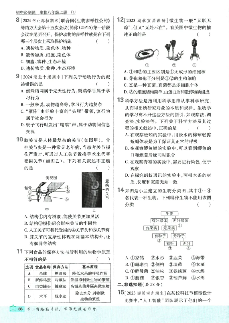 初中必刷题-8上-生物人教版_2、2025初中必刷题合集_初中必刷题23+24+25上册_2025版（全科上册）_2025版（全科上册）_初中必刷题生物