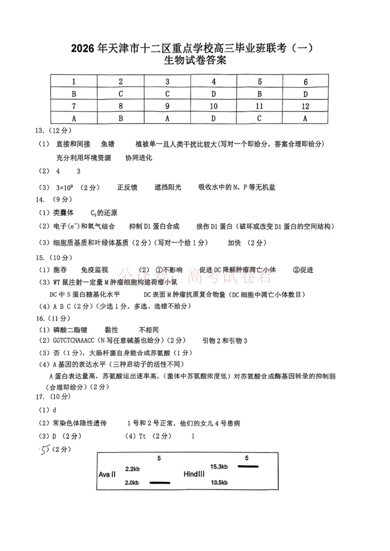 2026年天津市十二区重点学校高三下学期毕业联考（一）生物答案_副本_2026届天津市十二区重点学校高三下学期毕业联考（一）全科