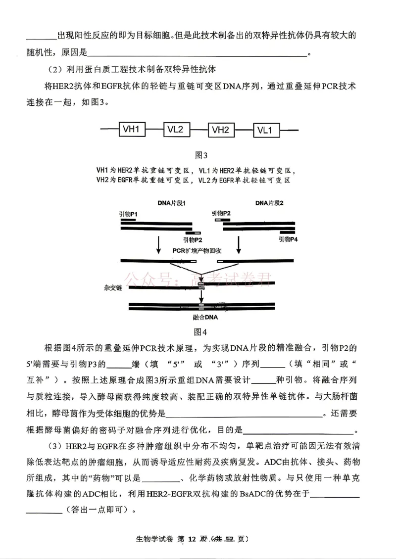 东北三省三校2026届高三下学期第二次模拟考试生物_副本_2026届东北三省三校高三下学期第二次模拟考试全科_06生物_东北三省三校高三下学期第二次模拟考试