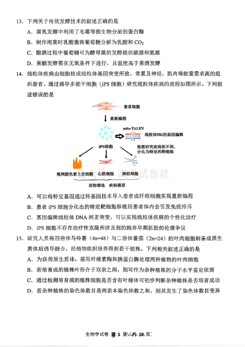 东北三省三校2026届高三下学期第二次模拟考试生物_副本_2026届东北三省三校高三下学期第二次模拟考试全科_06生物_东北三省三校高三下学期第二次模拟考试