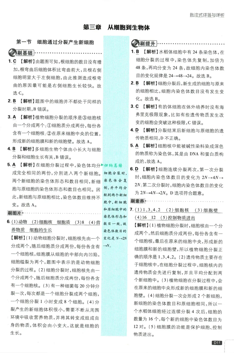 初中必刷题-7上-生物人教版批注式详答与详析_2、2025初中必刷题合集_初中必刷题23+24+25上册_2025版（全科上册）_2025版（全科上册）_初中必刷题生物
