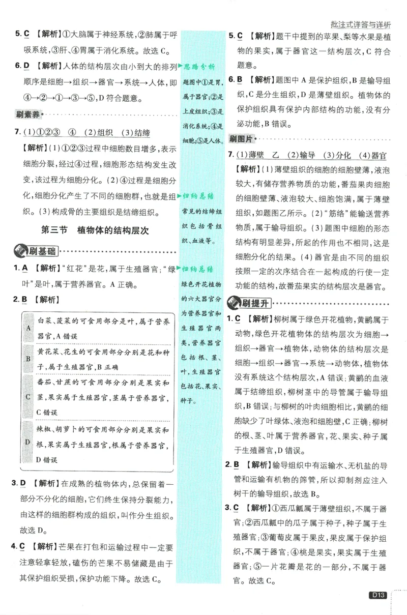 初中必刷题-7上-生物人教版批注式详答与详析_2、2025初中必刷题合集_初中必刷题23+24+25上册_2025版（全科上册）_2025版（全科上册）_初中必刷题生物