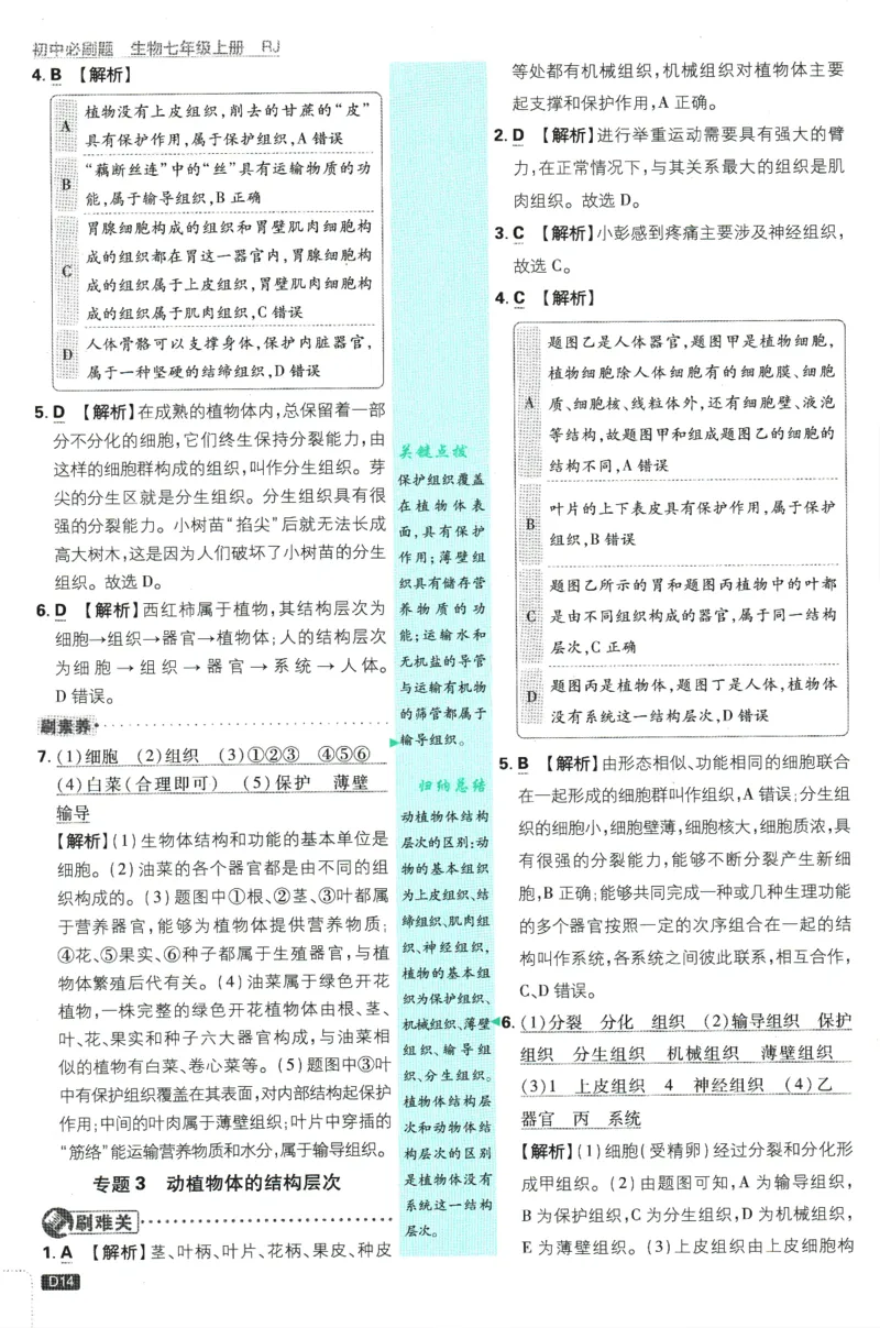 初中必刷题-7上-生物人教版批注式详答与详析_2、2025初中必刷题合集_初中必刷题23+24+25上册_2025版（全科上册）_2025版（全科上册）_初中必刷题生物
