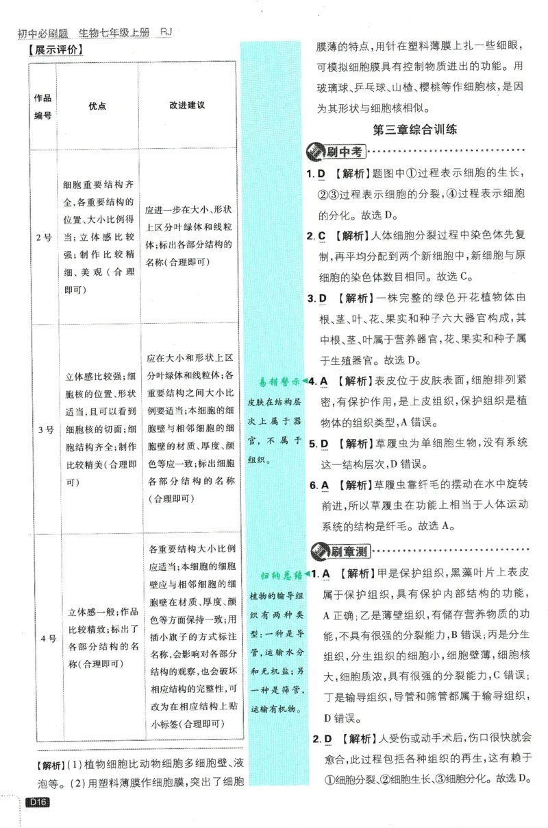 初中必刷题-7上-生物人教版批注式详答与详析_2、2025初中必刷题合集_初中必刷题23+24+25上册_2025版（全科上册）_2025版（全科上册）_初中必刷题生物