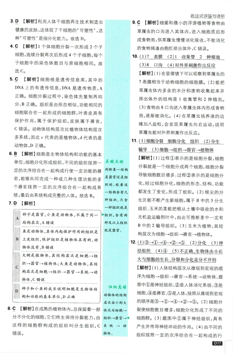 初中必刷题-7上-生物人教版批注式详答与详析_2、2025初中必刷题合集_初中必刷题23+24+25上册_2025版（全科上册）_2025版（全科上册）_初中必刷题生物