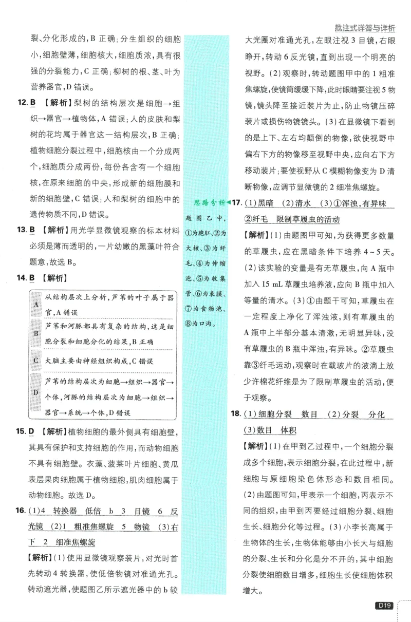 初中必刷题-7上-生物人教版批注式详答与详析_2、2025初中必刷题合集_初中必刷题23+24+25上册_2025版（全科上册）_2025版（全科上册）_初中必刷题生物